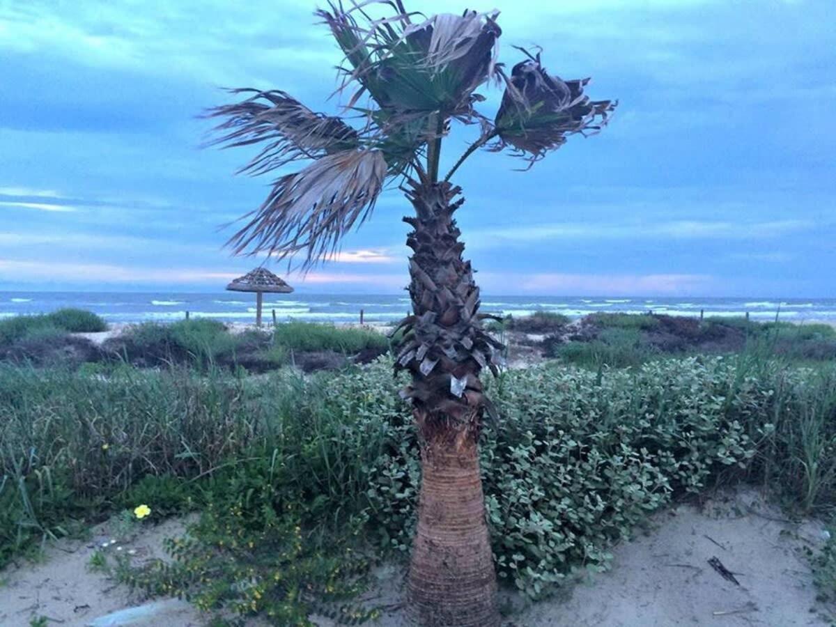 Fun In The Sun! Cozy Beach Pad, Gulf Views And Easy Access To The Sand! Surfside Beach Exteriör bild